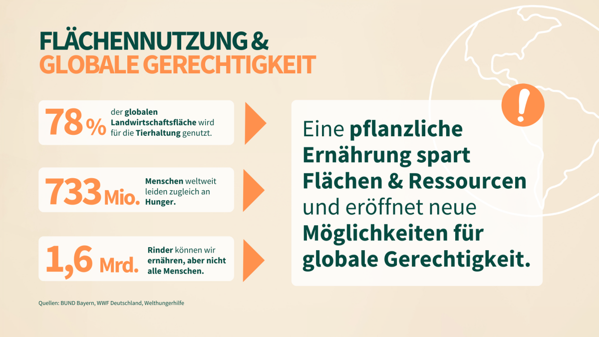 Grafik über die Flächennutzung und Globale Gerechtigkeit